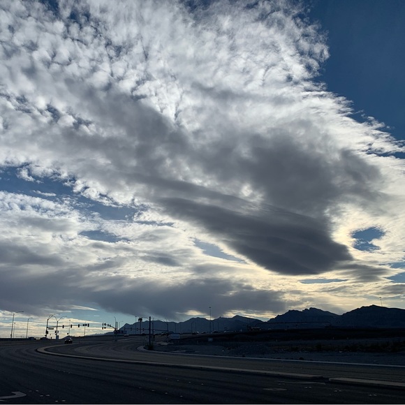 Meet your Posher, Reese - Picture 1 of 1